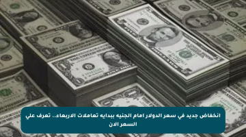 انخفاض جديد في سعر الدولار أمام الجنيه ببداية تعاملات الأربعاء.. تعرف على السعر الآن